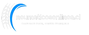 neumaticosenlinea.cl